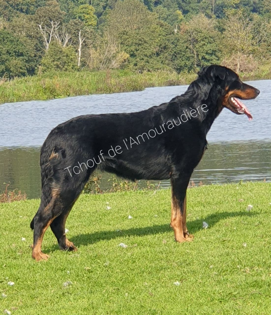 Portée programmée pour fin avril 2026